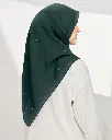 PINEAURORA_S.webp